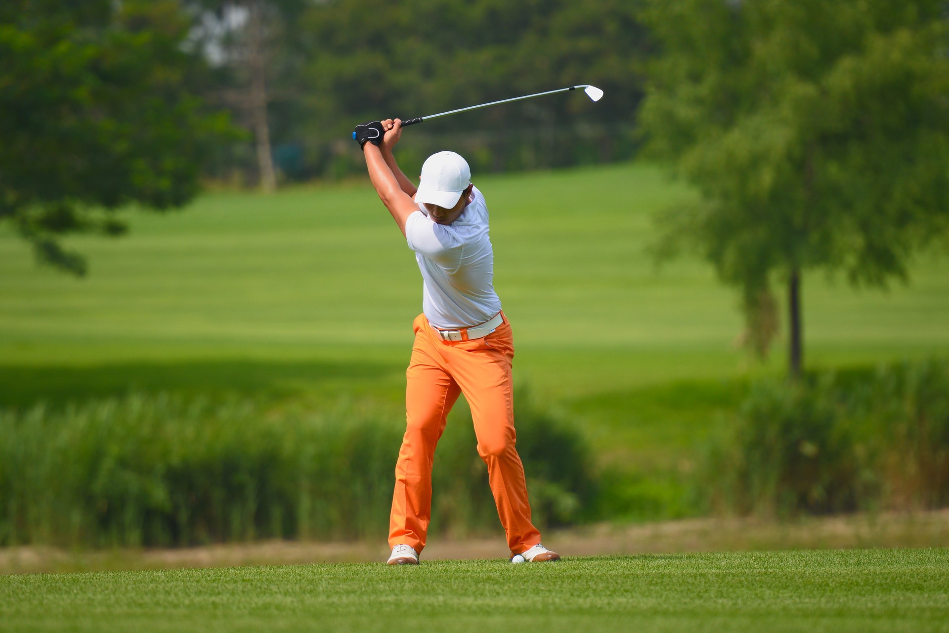 Empower the Champion Professional Golf Swing